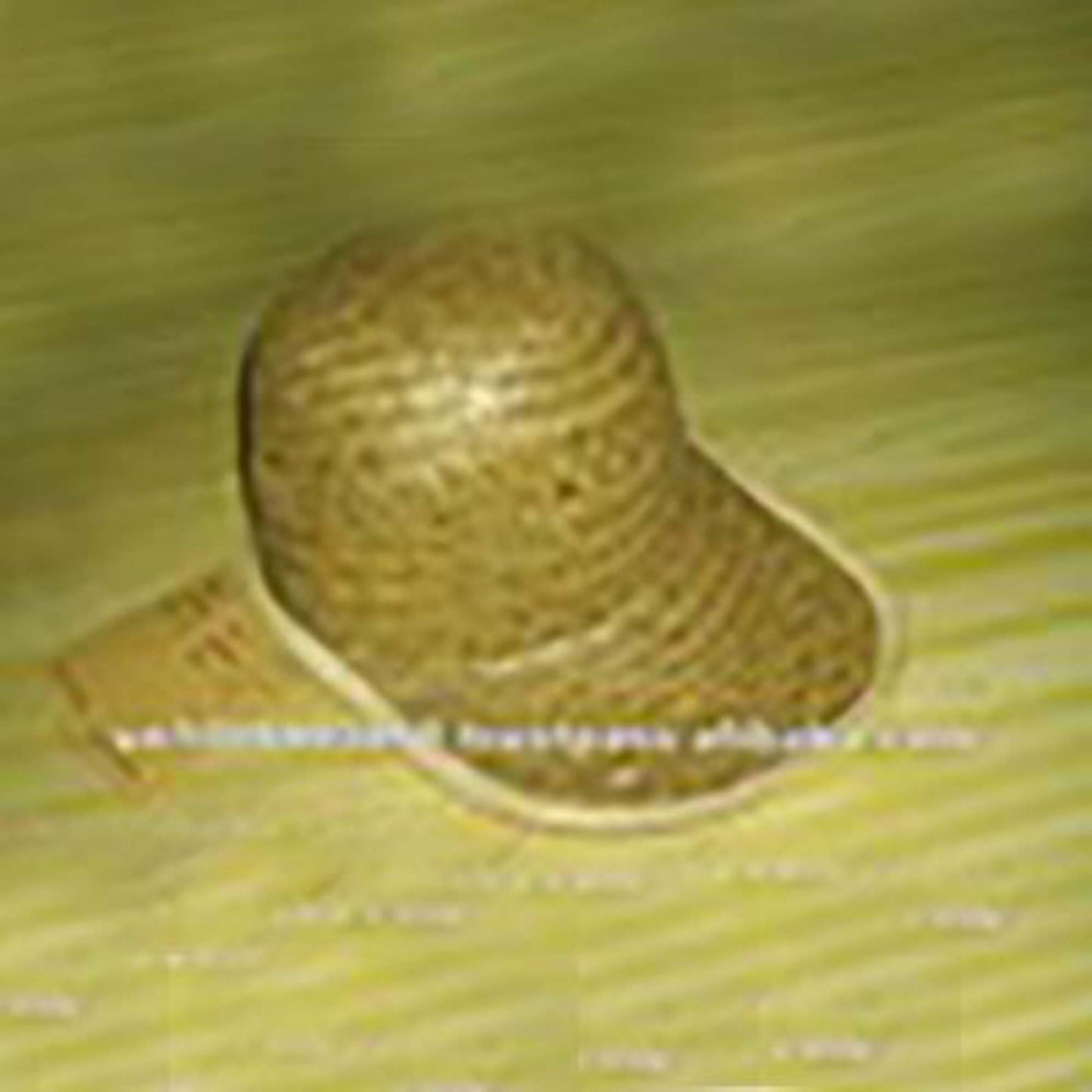Straw hat 4 | Hats | Sourcing Vietnam